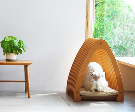 商品「Prism プリズム」の写真