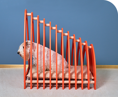 商品「Cave ケイブ」の写真